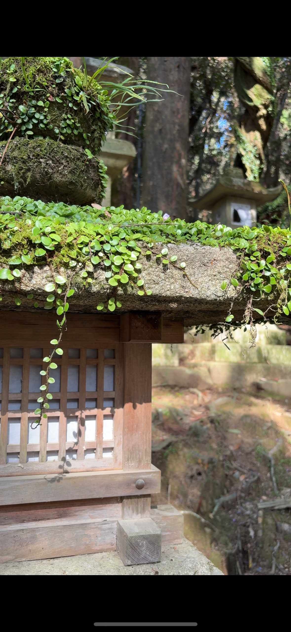 御間道・紀伊神社