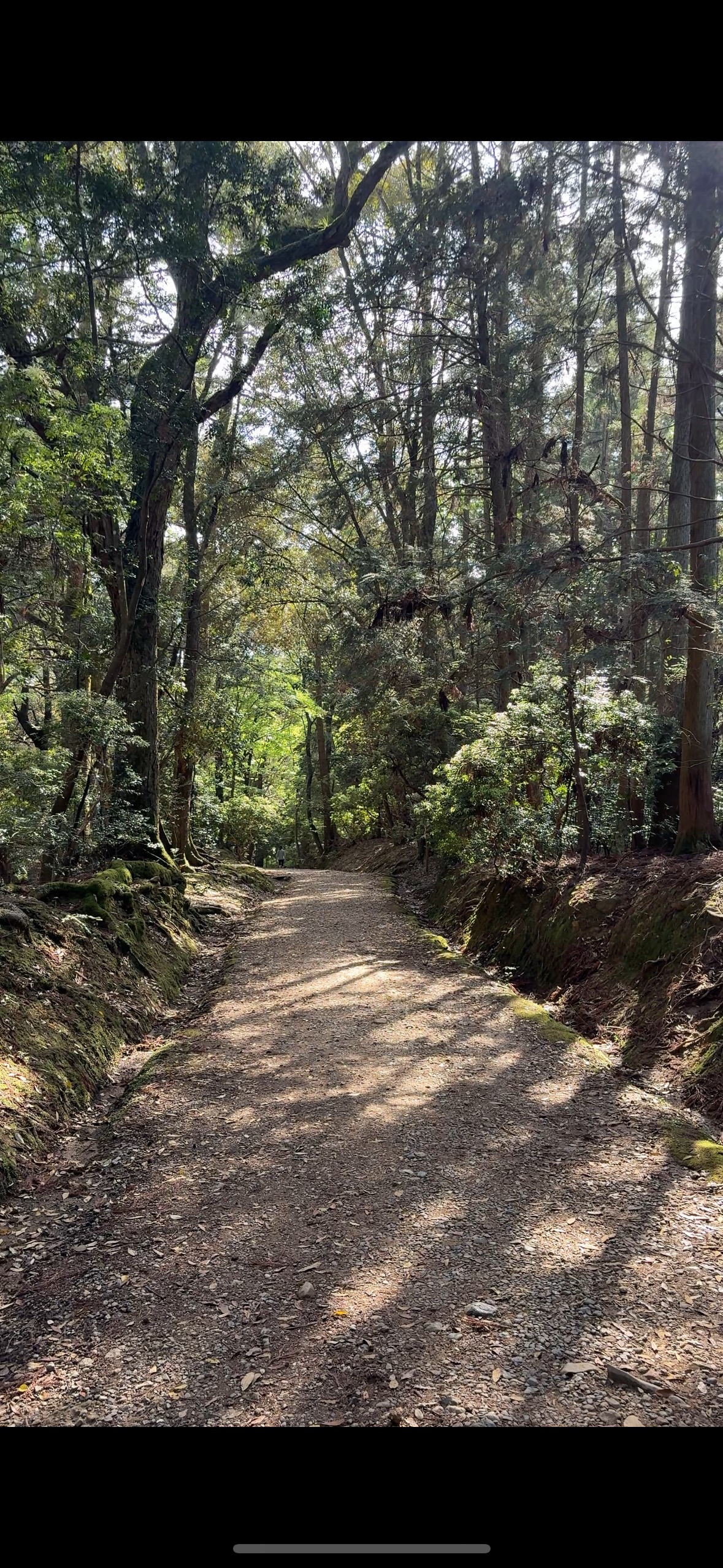 御間道・紀伊神社