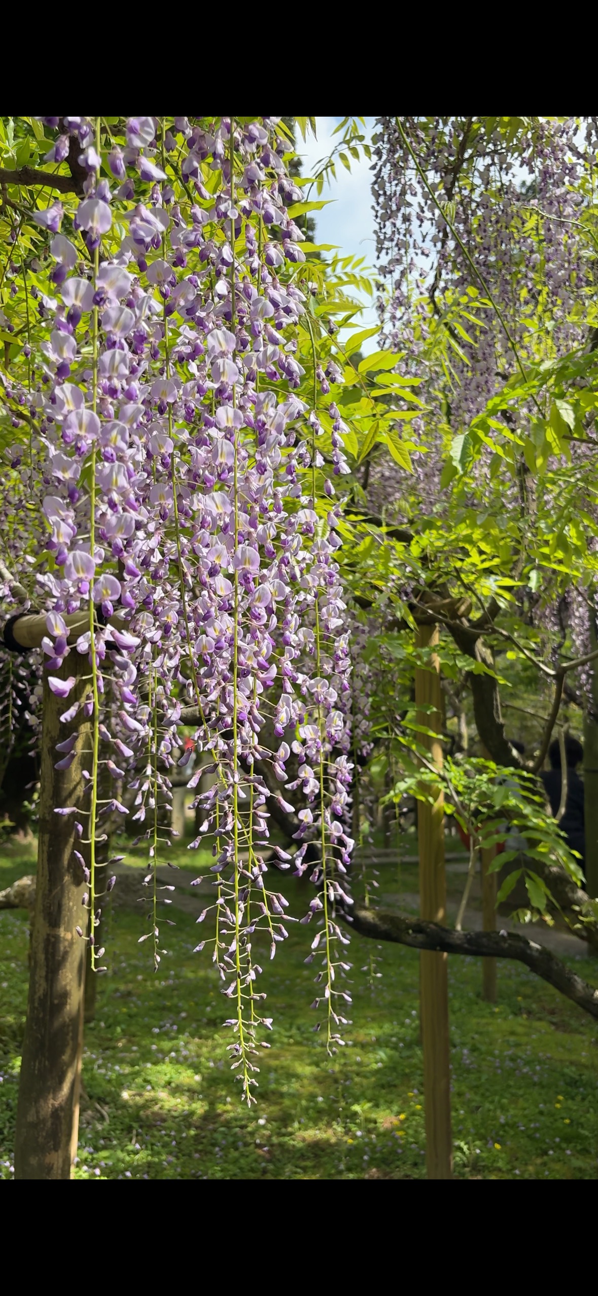 萬葉植物園