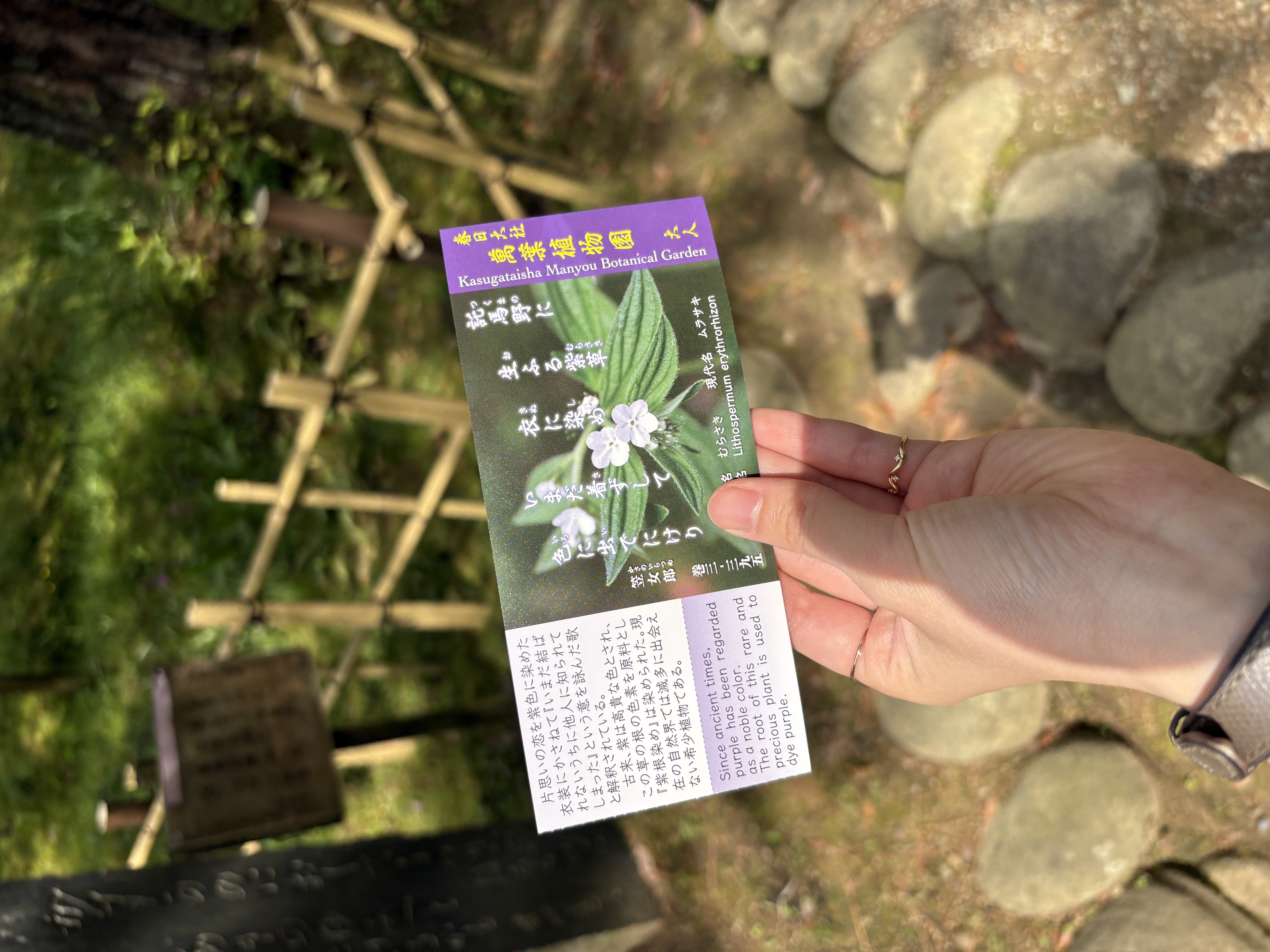 萬葉植物園