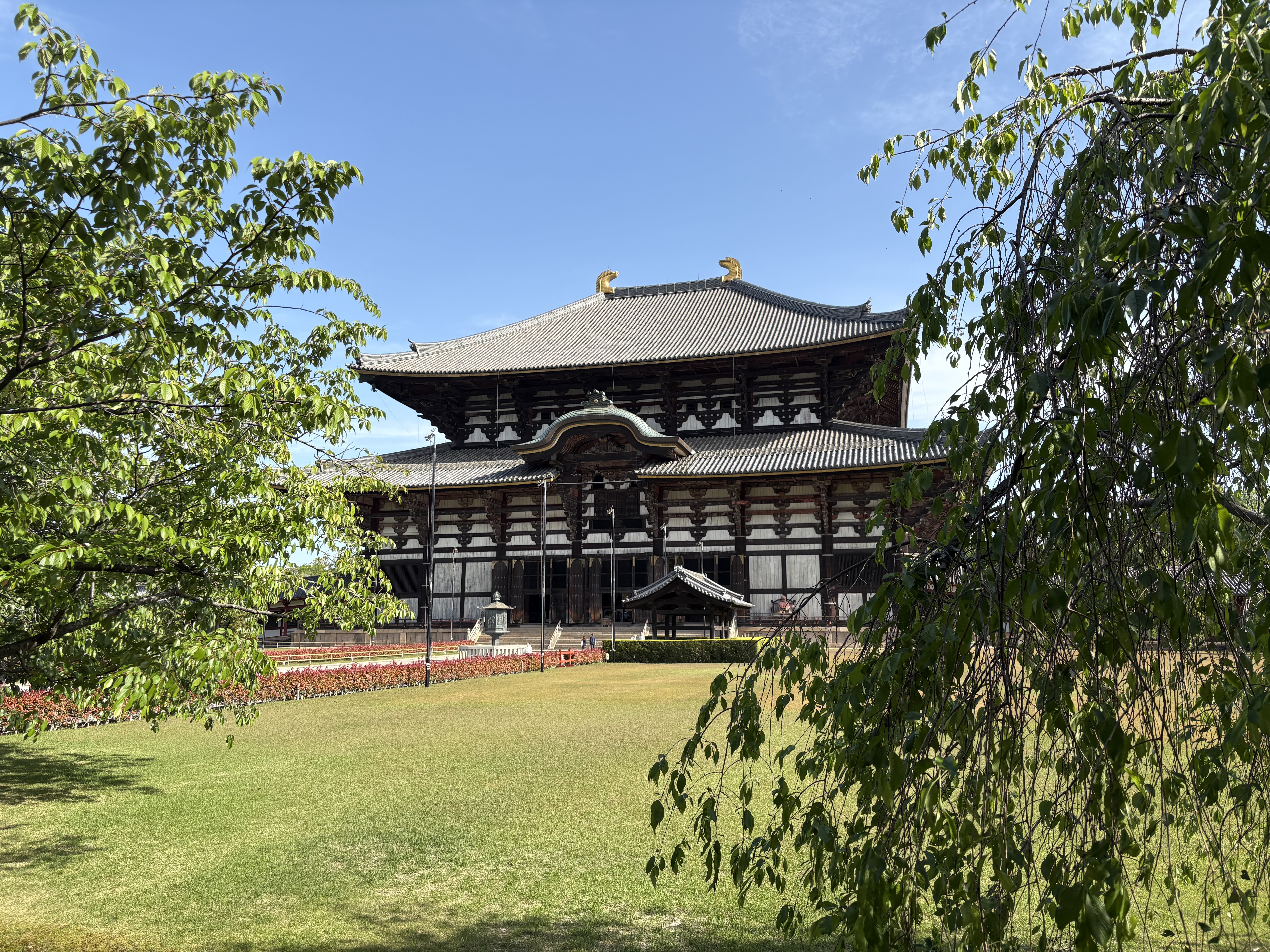 東大寺・奈良公園